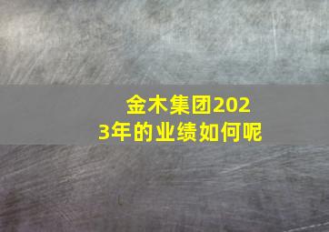 金木集团2023年的业绩如何呢