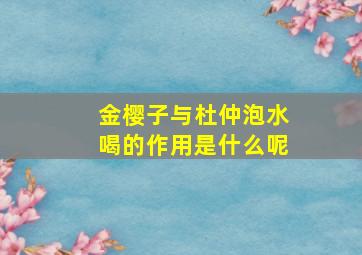 金樱子与杜仲泡水喝的作用是什么呢