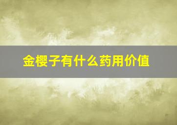 金樱子有什么药用价值