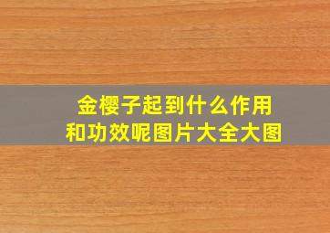 金樱子起到什么作用和功效呢图片大全大图