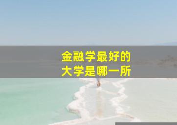 金融学最好的大学是哪一所