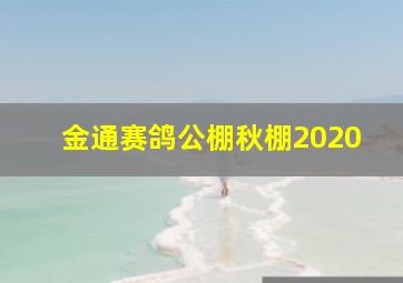 金通赛鸽公棚秋棚2020