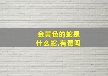 金黄色的蛇是什么蛇,有毒吗