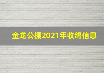 金龙公棚2021年收鸽信息