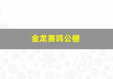 金龙赛鸽公棚