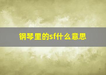 钢琴里的sf什么意思