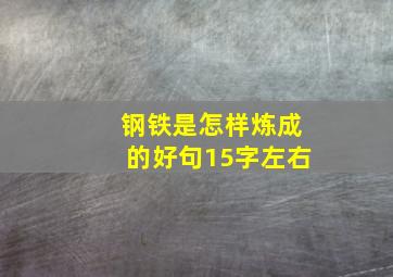 钢铁是怎样炼成的好句15字左右