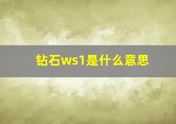 钻石ws1是什么意思