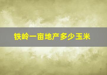 铁岭一亩地产多少玉米