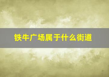 铁牛广场属于什么街道