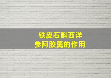 铁皮石斛西洋参阿胶羹的作用