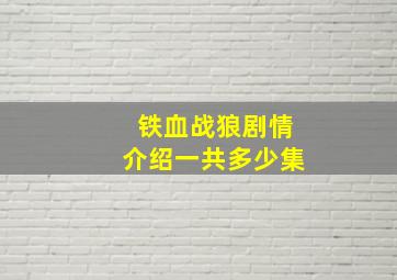 铁血战狼剧情介绍一共多少集