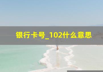 银行卡号_102什么意思