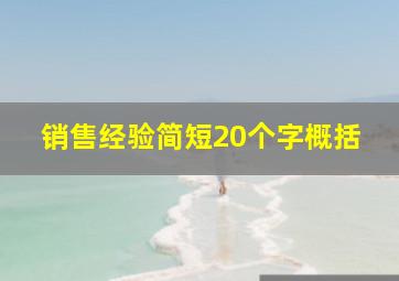 销售经验简短20个字概括