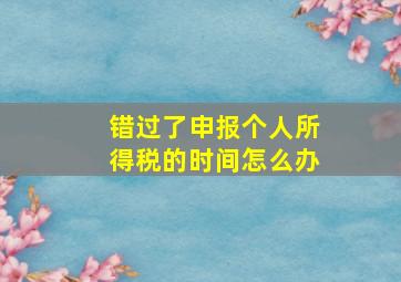 错过了申报个人所得税的时间怎么办