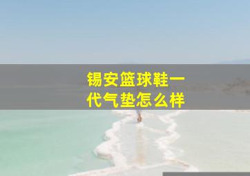 锡安篮球鞋一代气垫怎么样