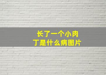 长了一个小肉丁是什么病图片