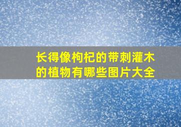 长得像枸杞的带刺灌木的植物有哪些图片大全