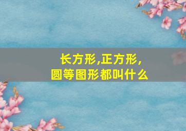 长方形,正方形,圆等图形都叫什么