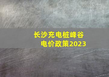 长沙充电桩峰谷电价政策2023