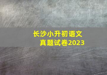 长沙小升初语文真题试卷2023