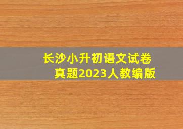 长沙小升初语文试卷真题2023人教编版