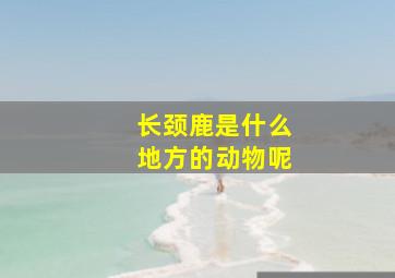 长颈鹿是什么地方的动物呢