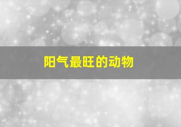 阳气最旺的动物