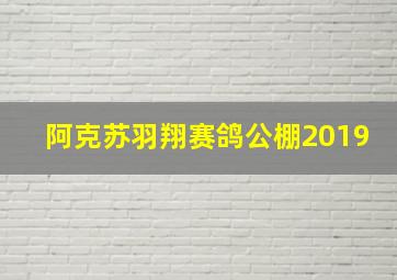 阿克苏羽翔赛鸽公棚2019