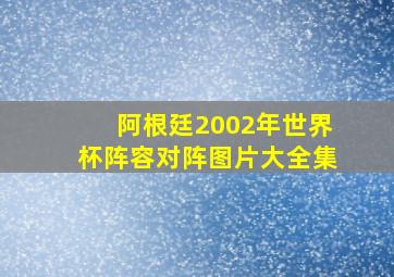 阿根廷2002年世界杯阵容对阵图片大全集