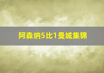 阿森纳5比1曼城集锦