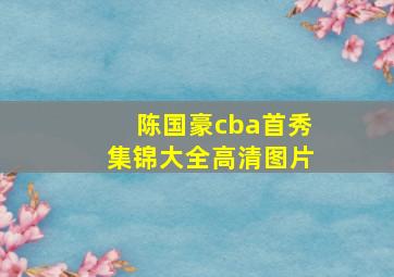 陈国豪cba首秀集锦大全高清图片