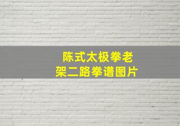 陈式太极拳老架二路拳谱图片