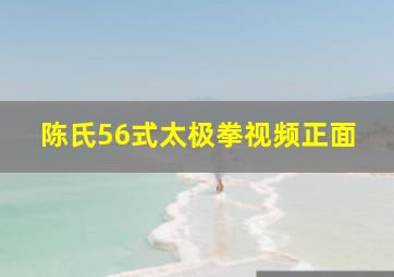 陈氏56式太极拳视频正面