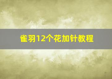 雀羽12个花加针教程