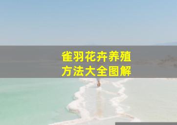 雀羽花卉养殖方法大全图解