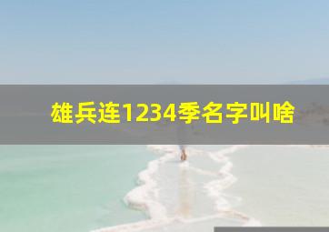 雄兵连1234季名字叫啥