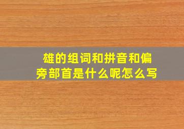 雄的组词和拼音和偏旁部首是什么呢怎么写