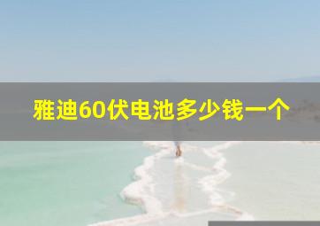 雅迪60伏电池多少钱一个