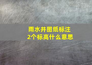 雨水井图纸标注2个标高什么意思