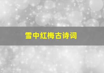 雪中红梅古诗词