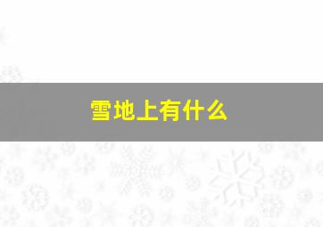 雪地上有什么