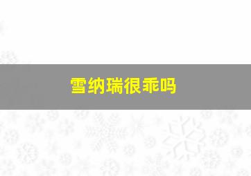 雪纳瑞很乖吗