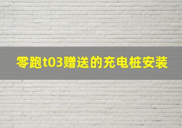 零跑t03赠送的充电桩安装