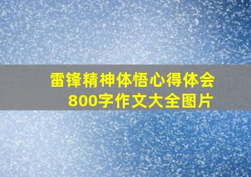 雷锋精神体悟心得体会800字作文大全图片