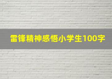 雷锋精神感悟小学生100字