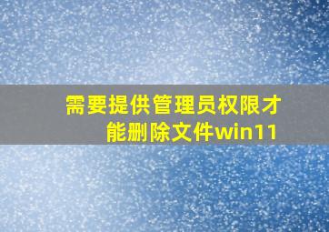 需要提供管理员权限才能删除文件win11