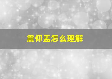 震仰盂怎么理解