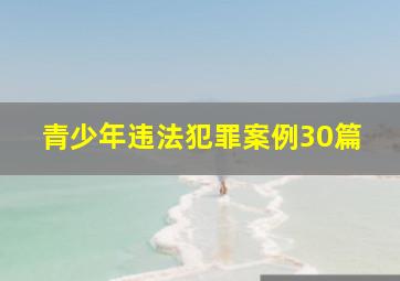 青少年违法犯罪案例30篇