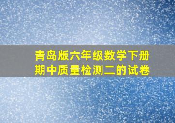 青岛版六年级数学下册期中质量检测二的试卷